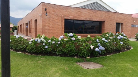 servicio de paisajismo y jardineria en bogota